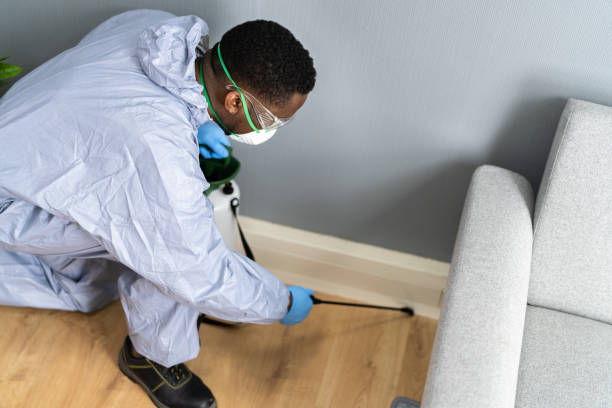 Real Estate Pest Inspections in Roscoe, TX